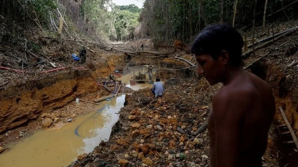 Polícia Federal deflagra Operação Alfeu para combater garimpo ilegal em terra indígena