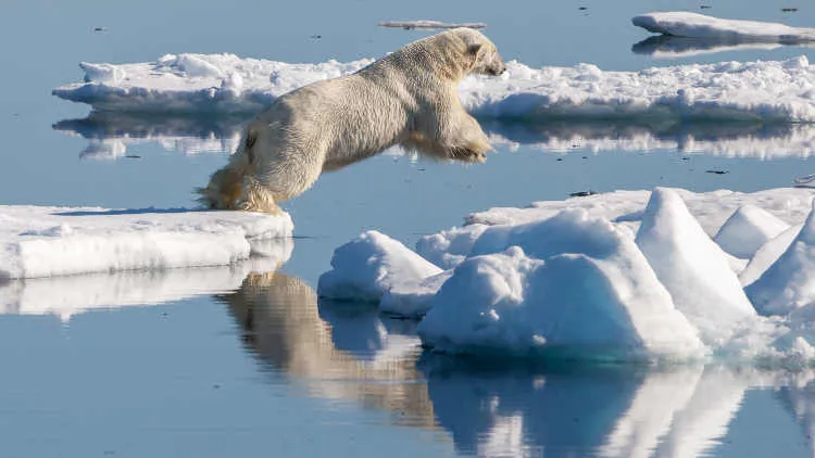 Calor recorde no Ártico preocupa