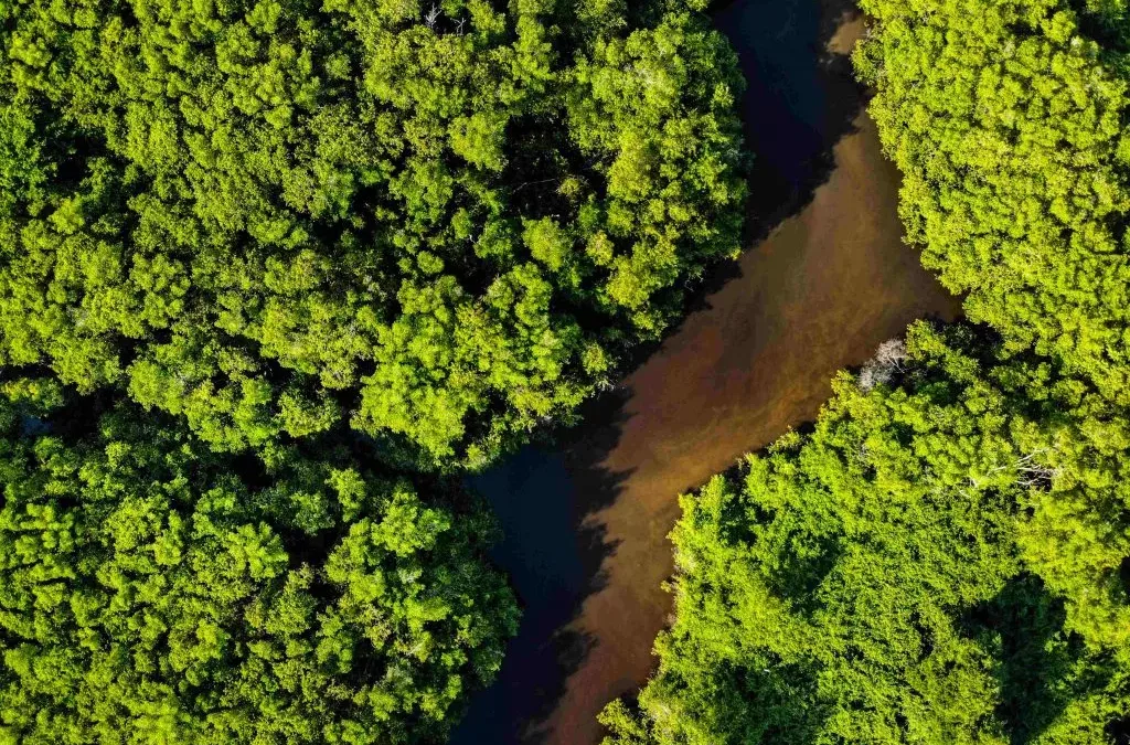 Pela Proibição da Estrangeirização da Terra Brasileira