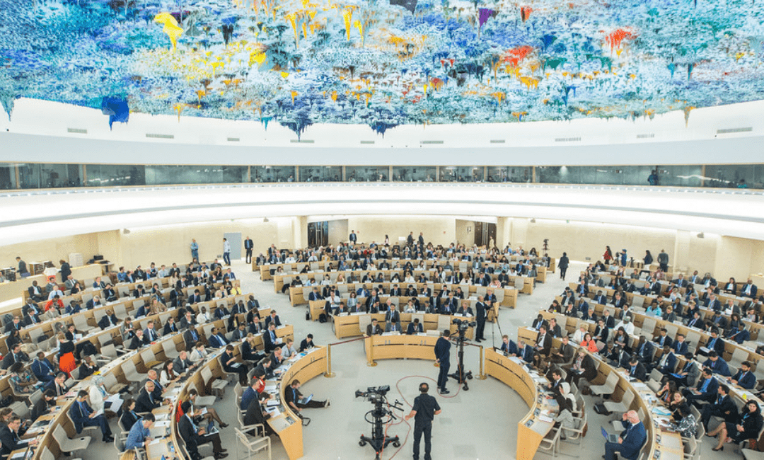 Carta aberta para o estabelecimento de um novo Relator Especial da ONU sobre Direitos Humanos e Mudanças Climáticas