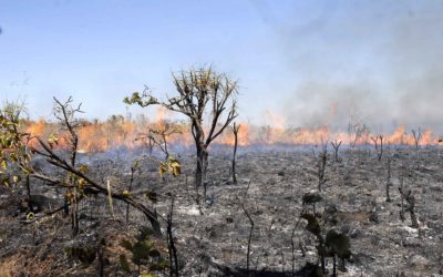 Governo escondeu na COP26 que desmatamento na Amazônia bateu terceiro recorde consecutivo sob Bolsonaro