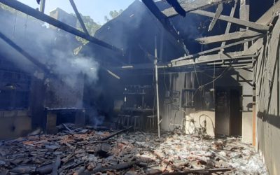 Reserva no Paraná é alvo de atentado após denúncia de roubo de madeira