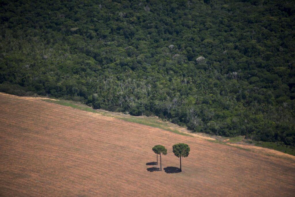 Desmatamento no Mato Grosso ? André Villas-Bôas / ISA