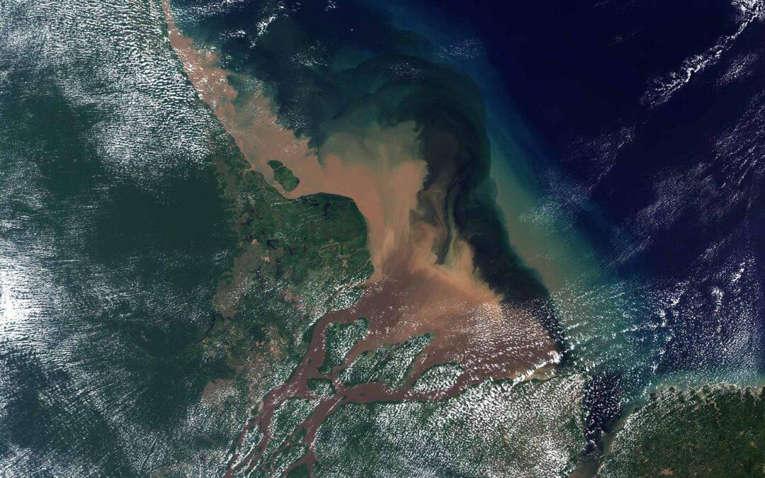 The Amazon River’s Mouth Is At Risk!