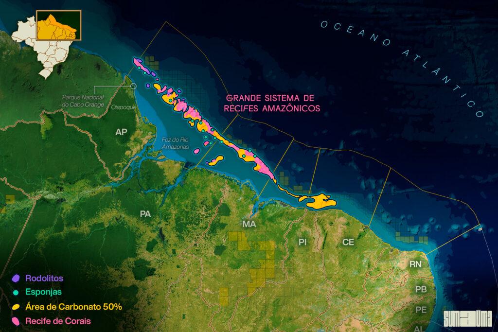 El gran sistema arrecifal amazónico. Infografía: Rodolfo Almeida/SUMAUMA