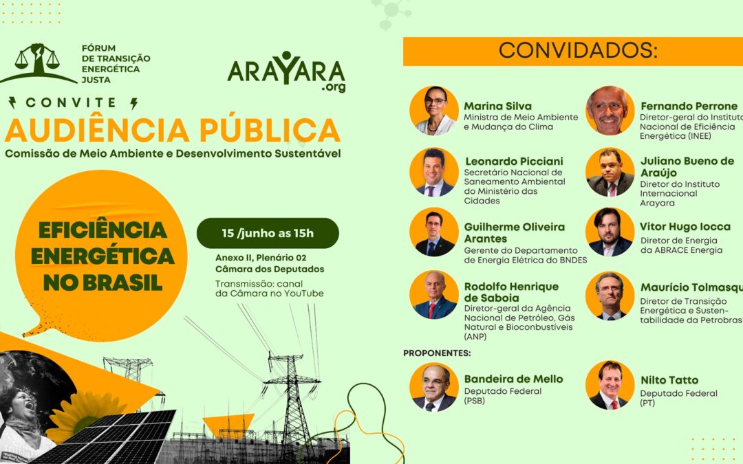 Arayara participa de discussão sobre eficiência energética no Brasil na Câmara dos Deputados