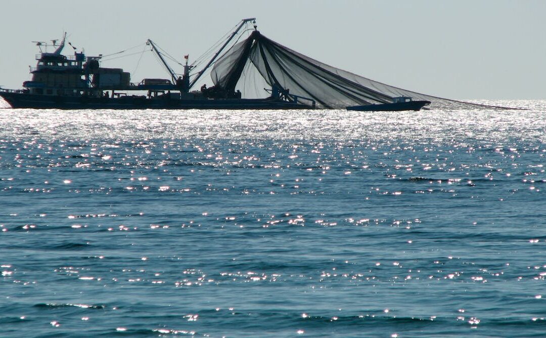 STF analisa constitucionalidade de lei que proíbe pesca de arrasto na costa gaúcha