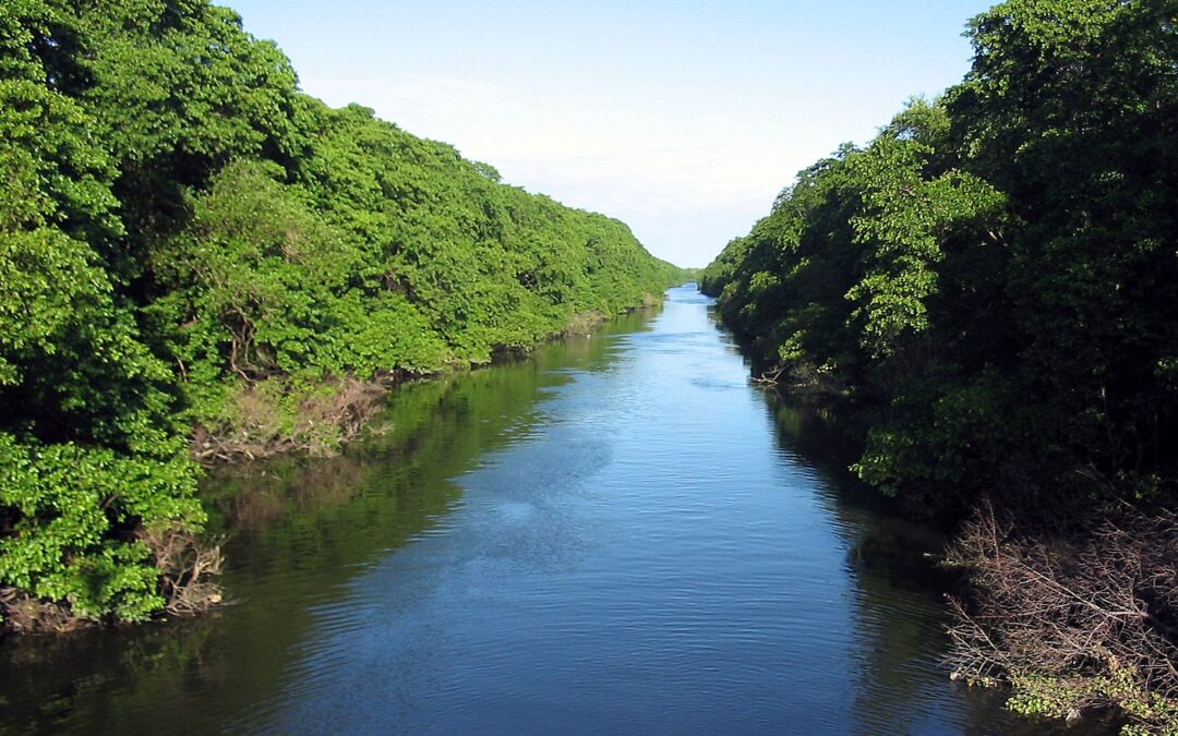 Más de 100 ONGs emiten manifiesto en defensa del agua y exigen acción del sector público