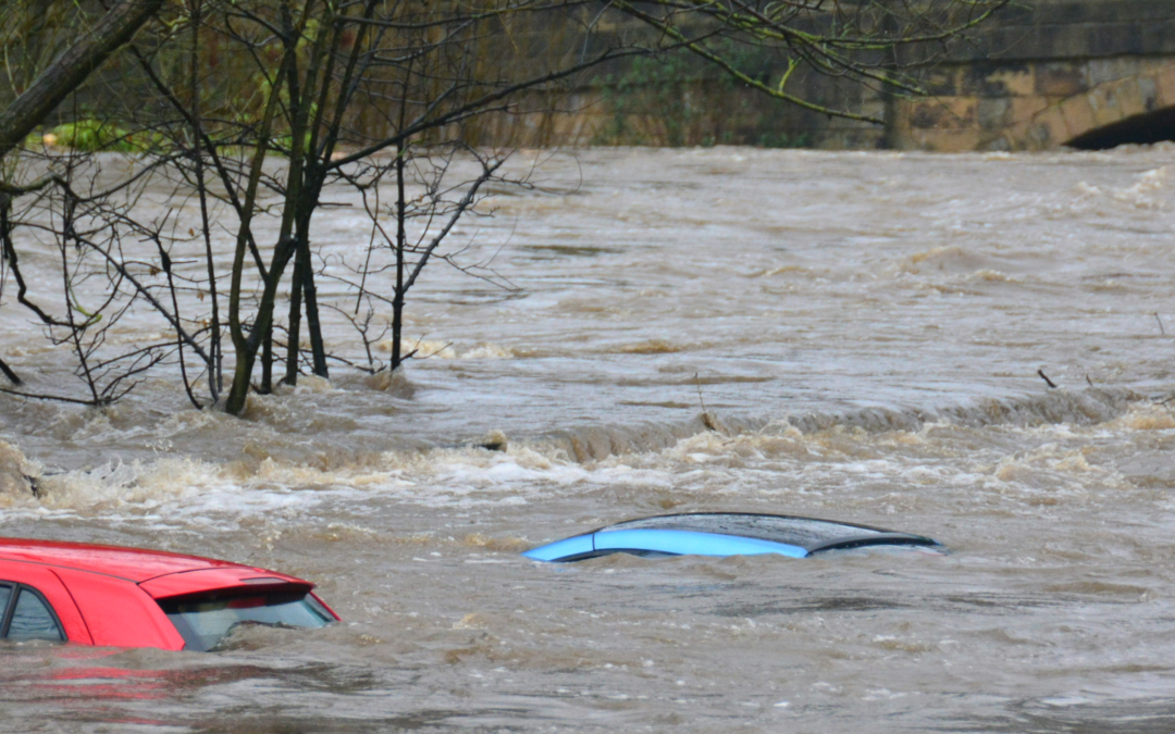 Negacionismo Científico e Enchentes no Rio Grande do Sul: Um Alerta Climático