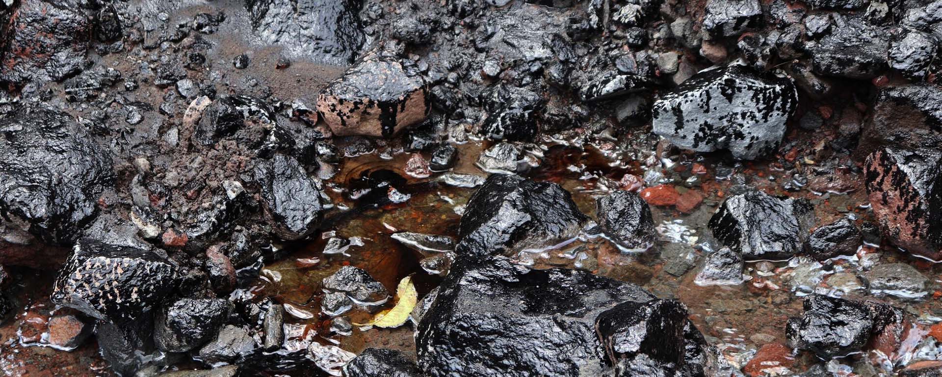 Fotografia cedida pelo Ministério do Meio Ambiente das consequências do derramamento de petróleo no rio Piedra Fina, na Amazônia equatoriana. Indígenas e ativistas ecológicos alertaram sobre a chegada de traços de contaminação petrolífera às margens do rio Napo após o rompimento do Oleoduto de Petróleo Pesado (OCP) na sexta-feira, em uma área montanhosa afetada pela erosão do solo. Foto: EFE / DIVULGAÇÃO EL UNIVERSO