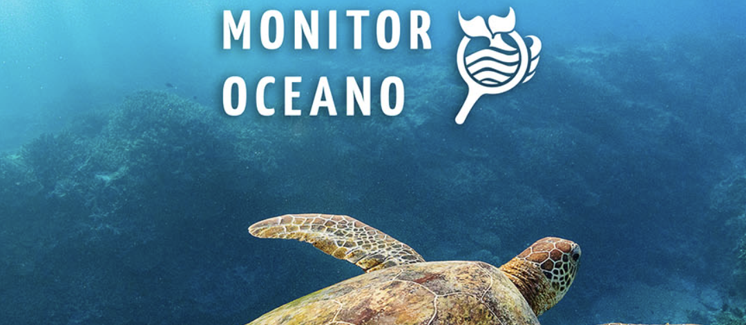 Lançamento do Monitor Oceano sensibiliza sociedade sobre conservação marinha