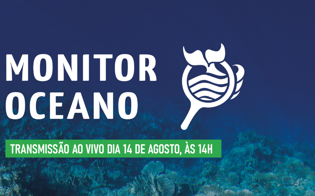 Instituto Arayara lança ferramenta que monitora os impactos da exploração fóssil a ecossistemas marinhos brasileiros