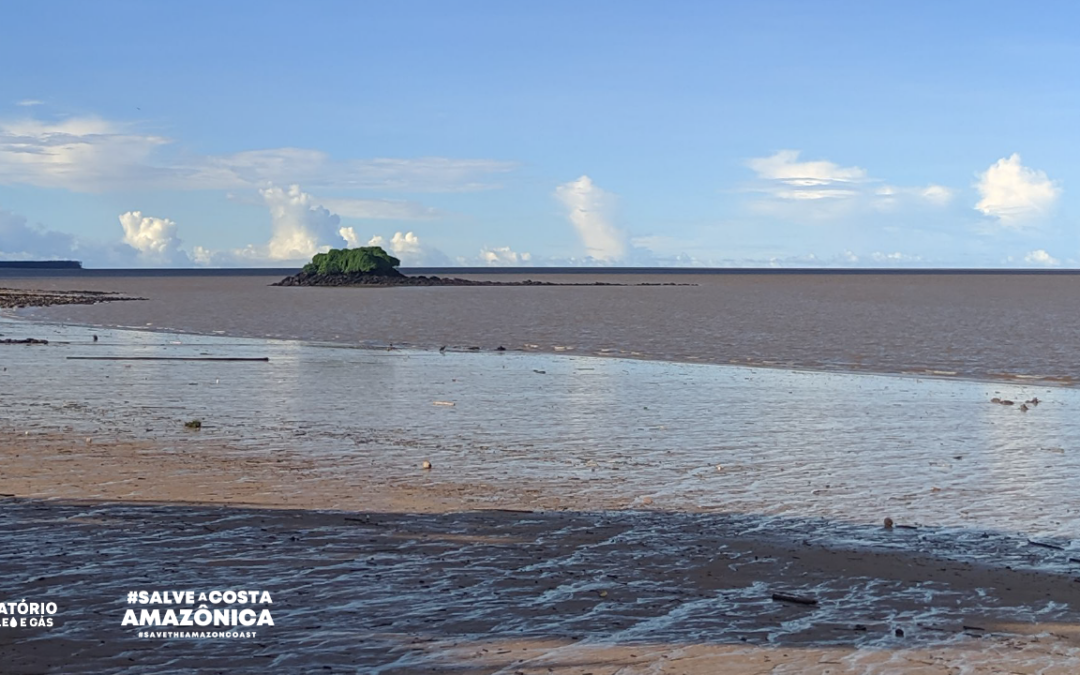 Técnicos do Ibama rejeitam licença de exploração de petróleo na Foz do Amazonas, mas presidente do órgão mantém discussão