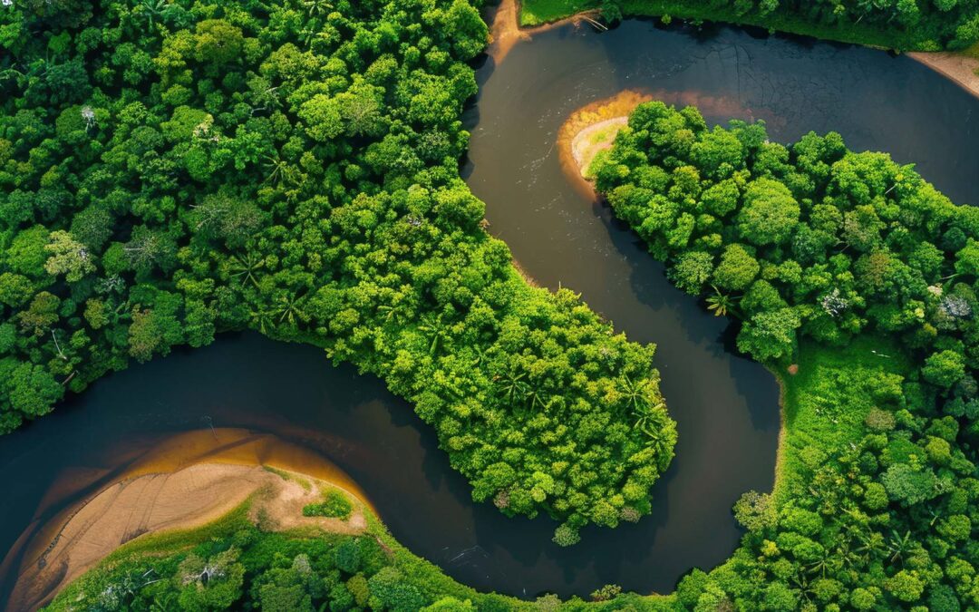 Amazônia perde mais uma batalha contra a indústria fóssil