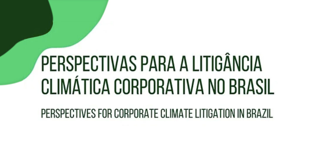 Litigância climática no Brasil é tema de webinário do JUMA e BIICL