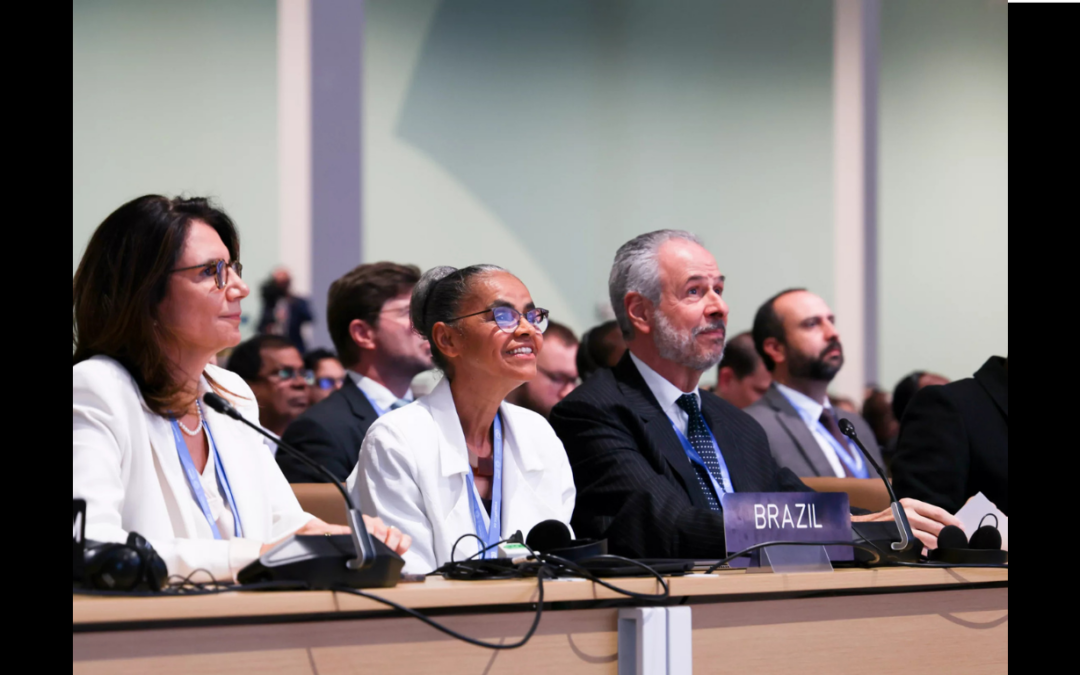 ARAYARA na Mídia: Organizações pedem medidas contra influência de agro e combustíveis fósseis na COP30