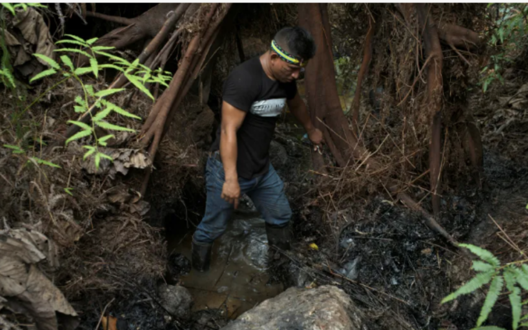 ARAYARA na Mídia: The Amazon rainforest’s fossil fuel rush