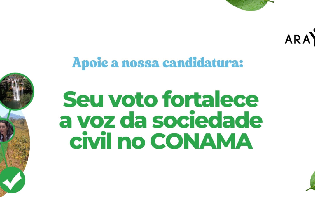 ARAYARA disputa vaga no Conama e fortalece a voz da sociedade civil