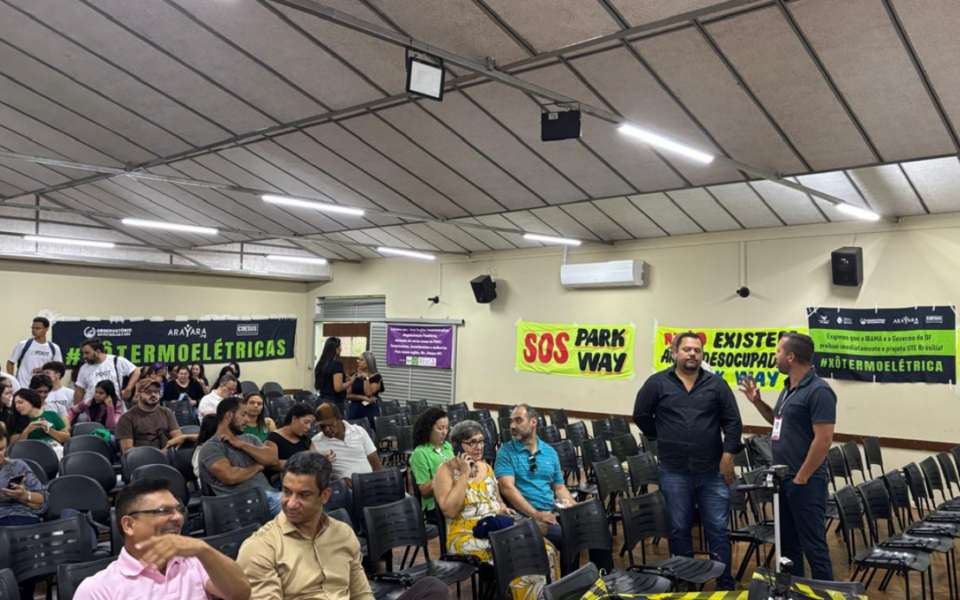 PDOT 2025: ARAYARA alerta para riscos ambientais em área de usina termelétrica