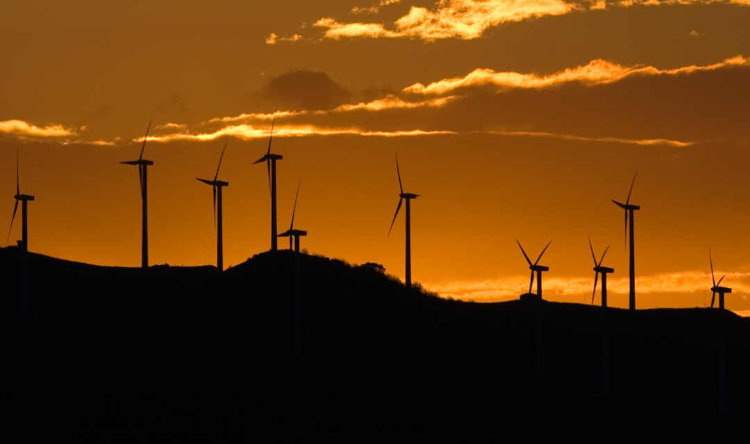 ARAYARA conquista cadeira no Fórum Nacional de Transição Energética (Fonte)