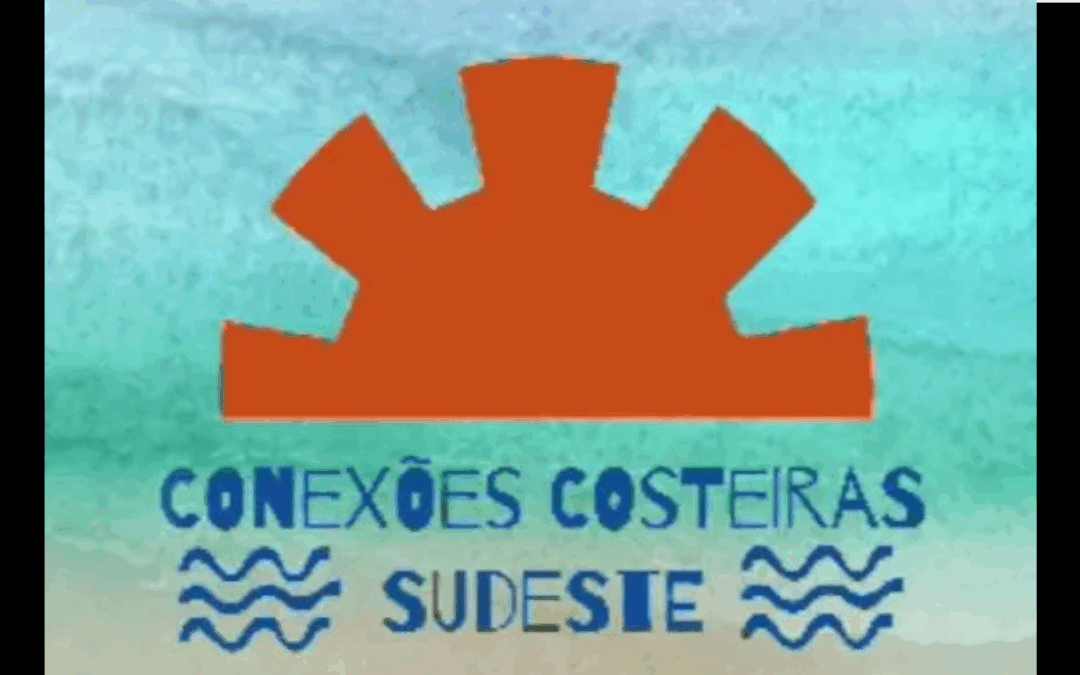 Oficina debate impactos da mineração oceânica e infraestrutura costeira no Sudeste brasileiro