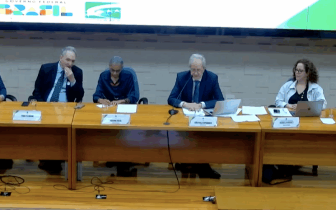 ARAYARA fortalece representação da sociedade civil no Conama com presença ativa em câmaras técnicas