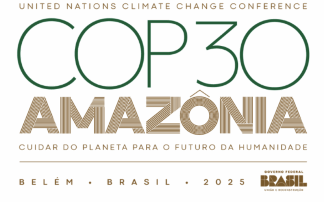 Por que o financiamento climático é a chave da COP30