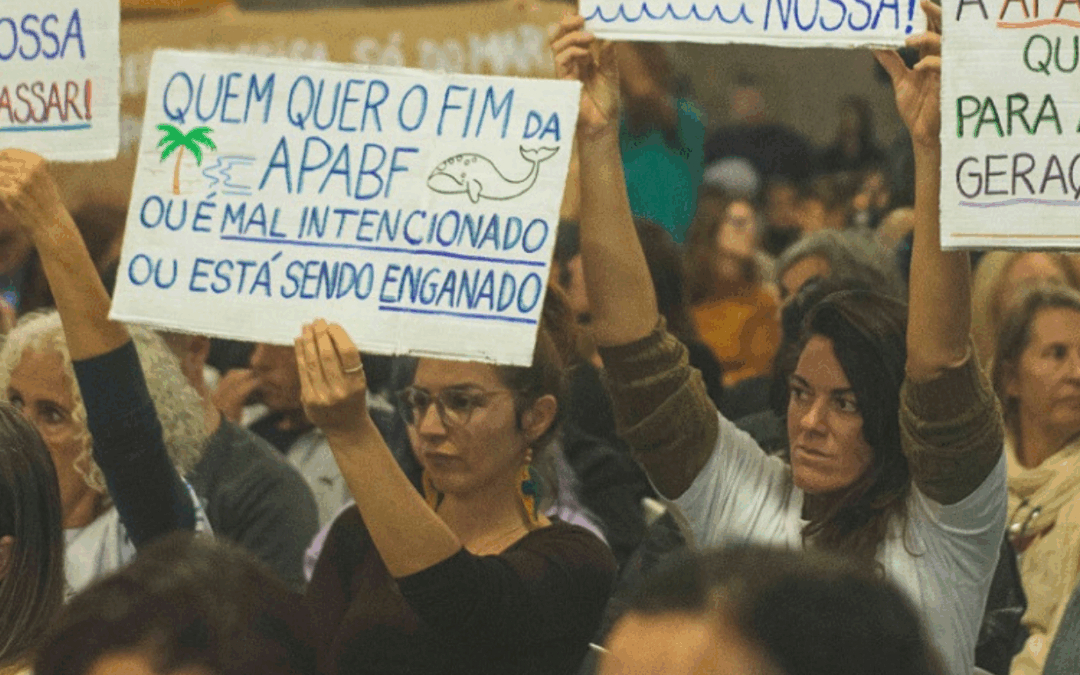 População de Santa Catarina defende a APA da Baleia Franca em audiência pública