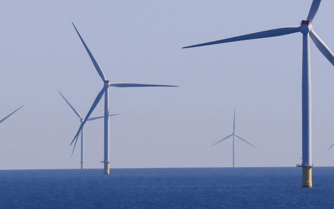 NOTA DE REPÚDIO :  jabutis da Lei das Eólicas Offshore