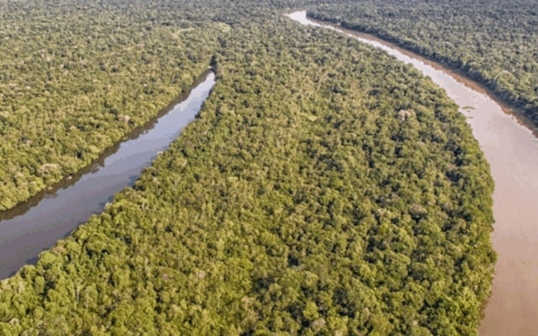 COP30 na Amazônia: a luta contra os fósseis e o desafio da adaptação climática