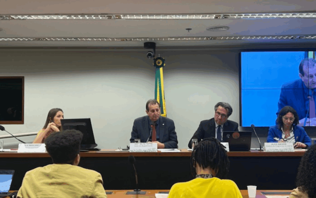 Sociedade civil participa de audiência da Câmara sobre racismo ambiental e justiça climática
