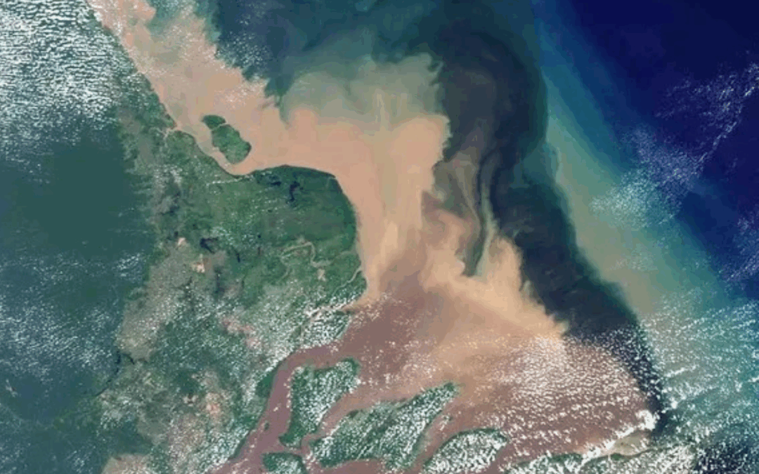 ARAYARA na Mídia: Organizações pressionam Brasil a defender fim da expansão de petróleo e gás na Amazônia na OTCA