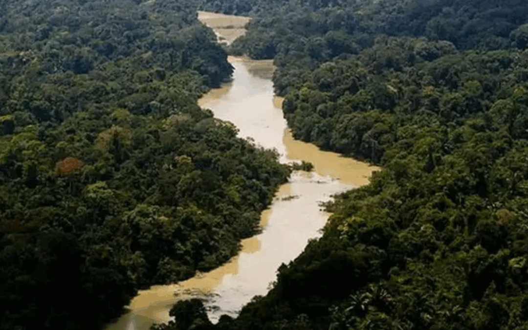 ARAYARA na Mídia: COP 30: Instituto Arayara abre inscrições para Amazon Climate Hub