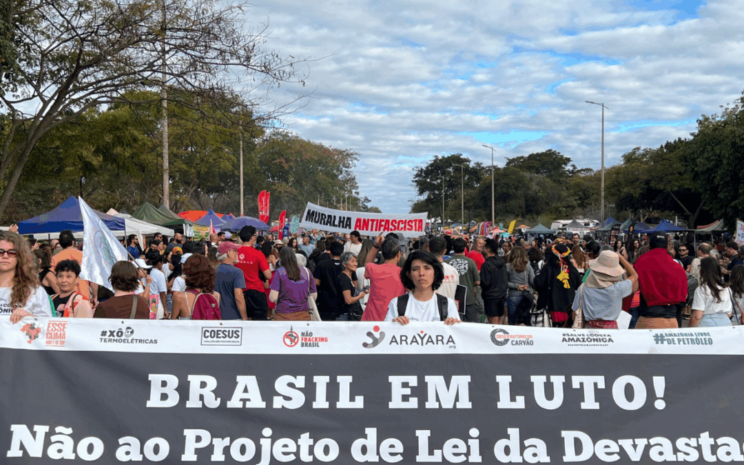 ARAYARA questionará na justiça Licença Ambiental Especial, no PL da Devastação