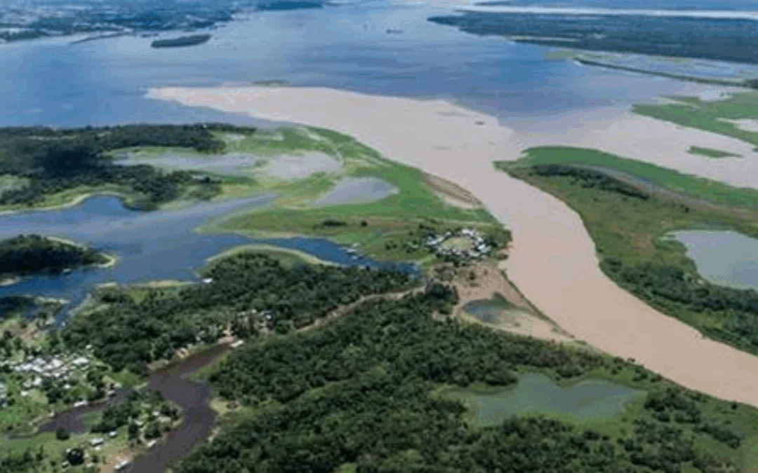 ARAYARA na Mídia: Mesmo com vetos, lei do licenciamento deixa brechas para maior destruição ambiental