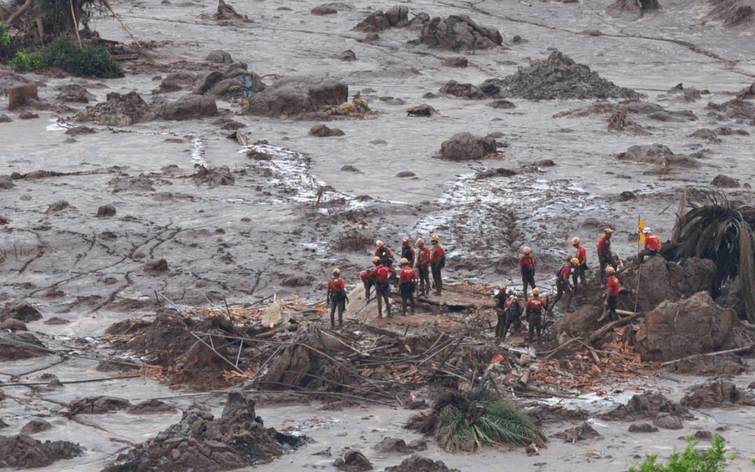 Sociedade civil perde espaço nas decisões nacionais e destruição ambiental vai avançar