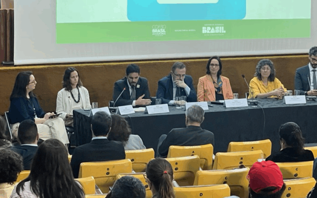 ARAYARA participa de eventos preparatórios da COP30 e leva experiência em justiça climática aos debates