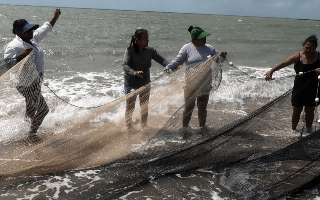 Crise climática ameaça pesca e comunidades costeiras, aponta a 5ª edição da Auditoria da Pesca Brasil