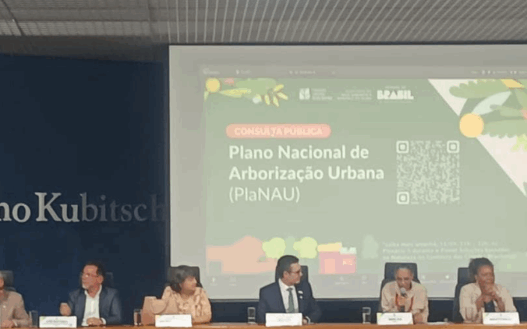 ARAYARA assume cadeira no Comitê Interministerial sobre Mudança do Clima durante seminário em Brasília