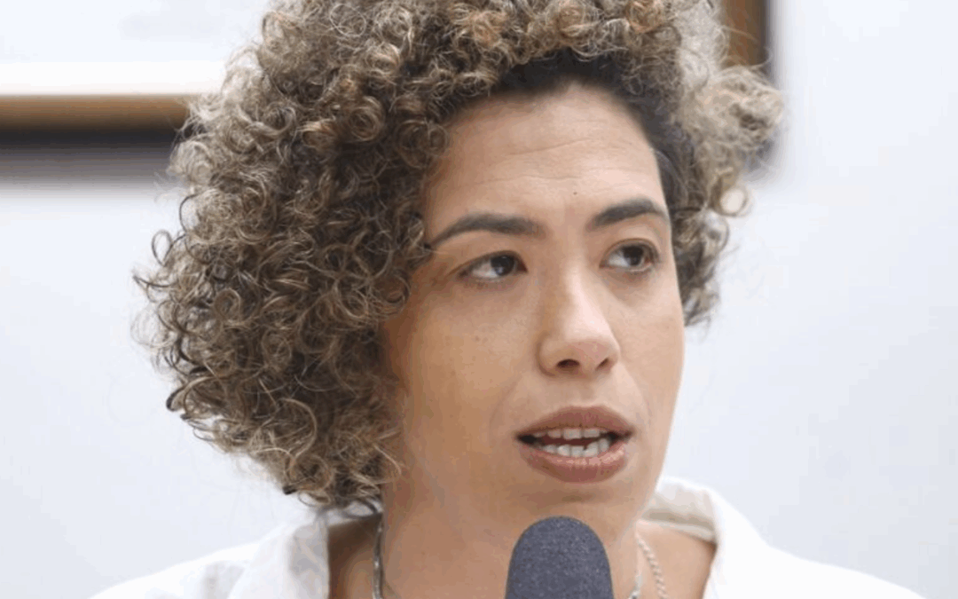 ARAYARA na Mídia: Talíria Petrone preside audiência para debater subsídios públicos para geração de energia a partir do carvão