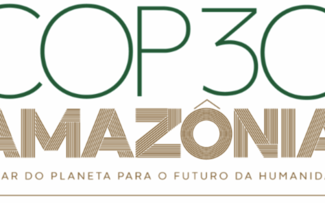 Entidades alertam para risco de exclusão de observadores brasileiros na conferência climática da ONU