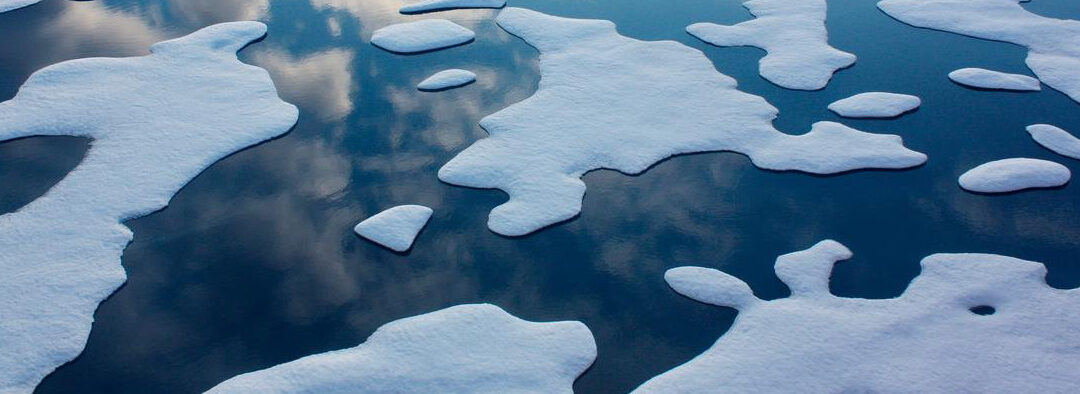 ARAYARA na Mídia: Brazil – Petition filed to suspend or cancel the offering of several oil and gas exploration blocks, alleging violations of Indigenous consultation rights