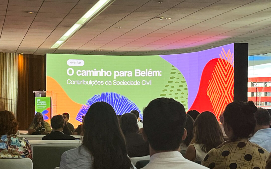 ARAYARA contribui em debate sobre transição energética em evento preparatório à COP30