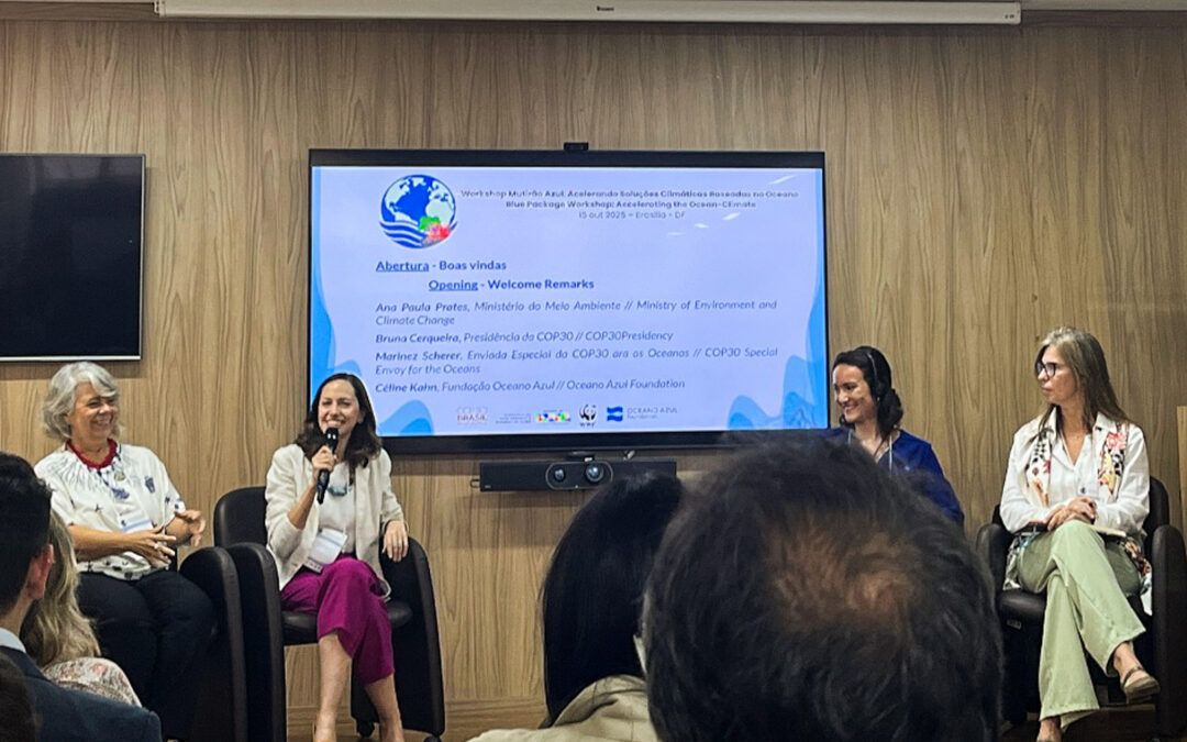 Workshop da presidência da COP30 discute soluções climáticas baseadas no oceano