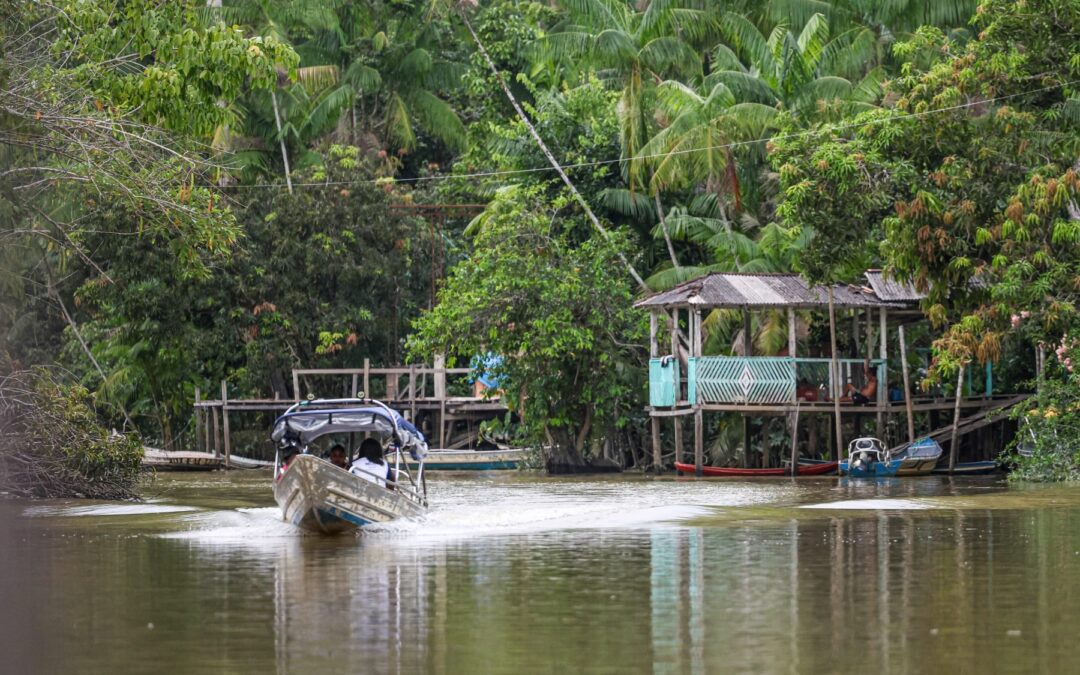 ARAYARA na Mídia: Global asset or frontier for extraction? COP30 is a reckoning for the Amazon