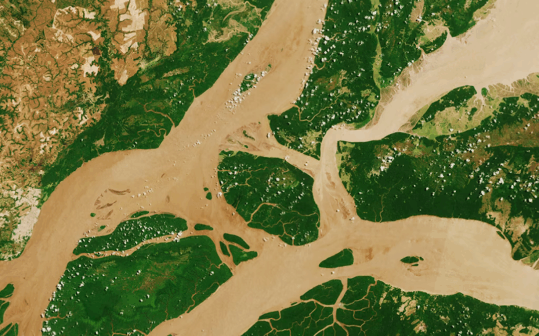 ARAYARA na Mídia: Petróleo na foz do Amazonas e ampliação do pré-sal: Brasil segue com expansão silenciosa de suas fronteiras fósseis