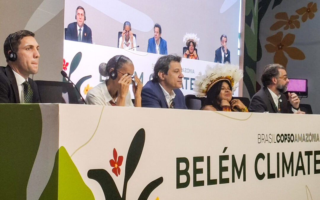 TFFF  garante US$ 3 Bi e Haddad celebra mecanismo inédito para proteger florestas