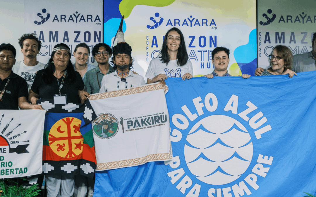 Arayara e Urgewald revelam rastro do financiamento fóssil na América Latina e Caribe na COP 30