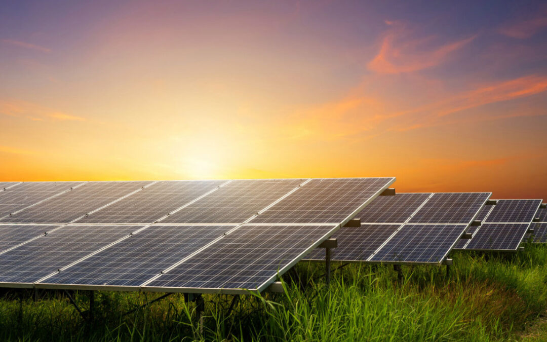 ARAYARA na Mídia: La energía solar está ganando terreno en las inversiones públicas mientras que los biocombustibles están perdiendo impulso.